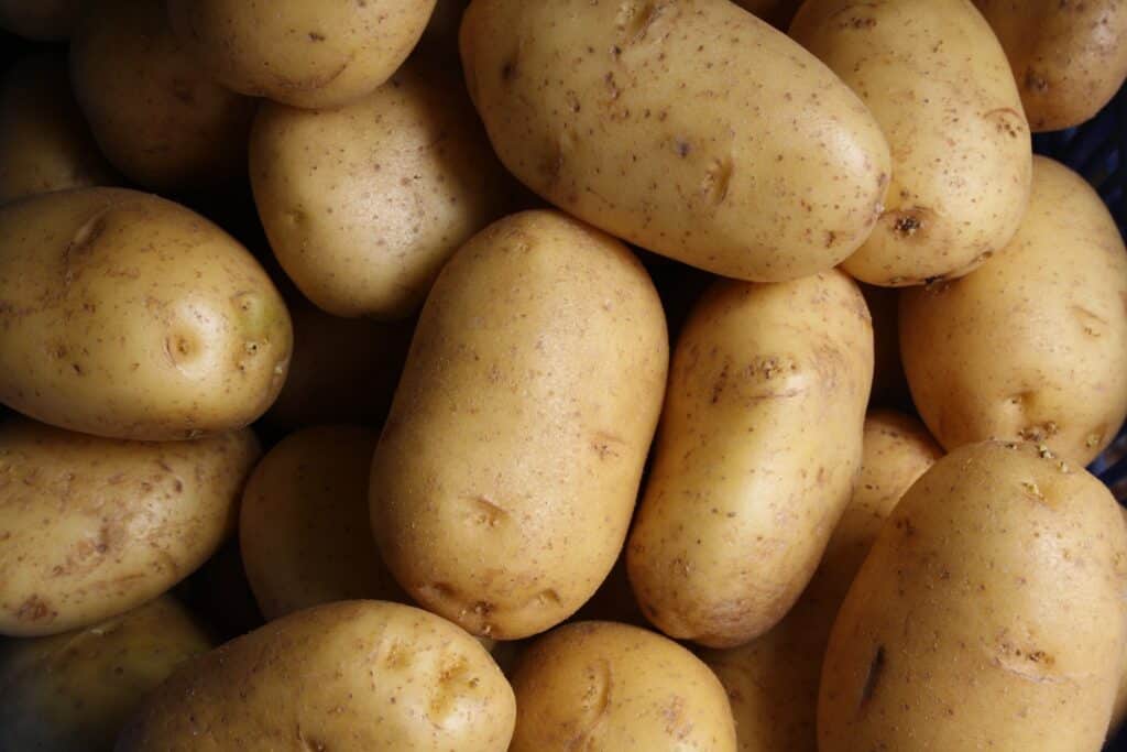 receitas de batatas para restaurantes